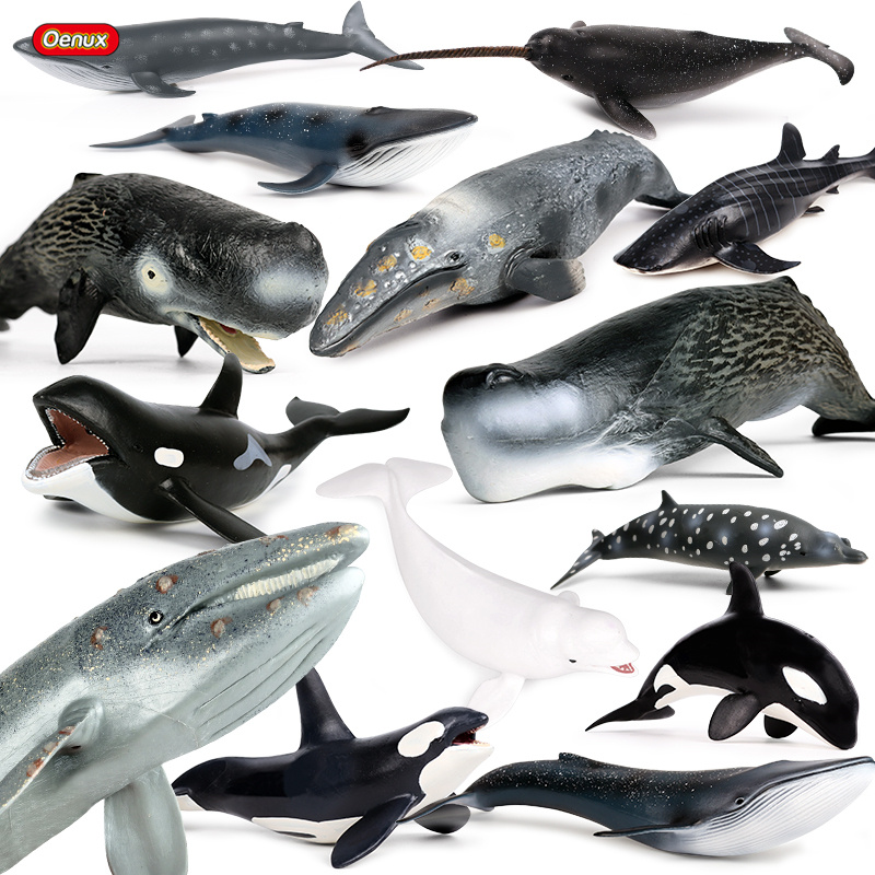 Oenux hewan laut Savage Megalo - Kids Without Education ulasan dan harga